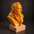 Custom made bust from picture
