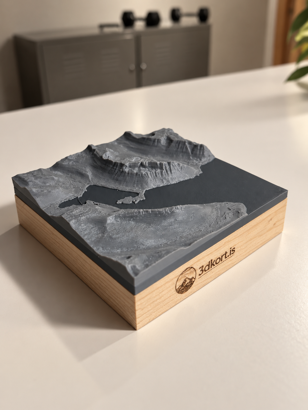 Ísafjörður þríviddarkort
